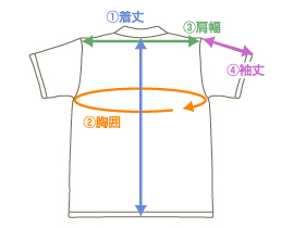 サイズE240ポロ